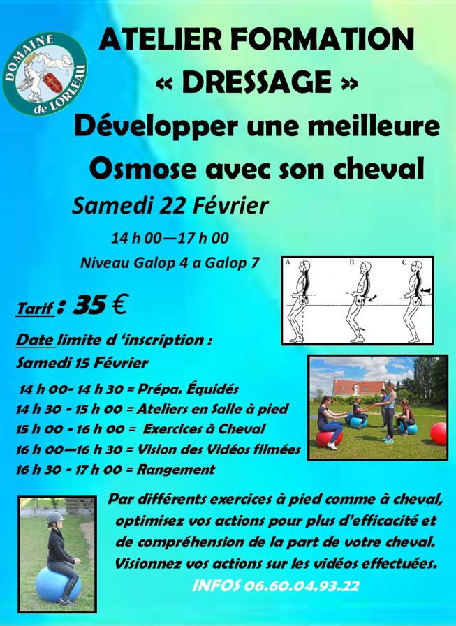 Dressage-Developper-une-meilleurs-Osmose-avec-son-cheval-Domaine-de-Lorleau-fevrier-2025.png