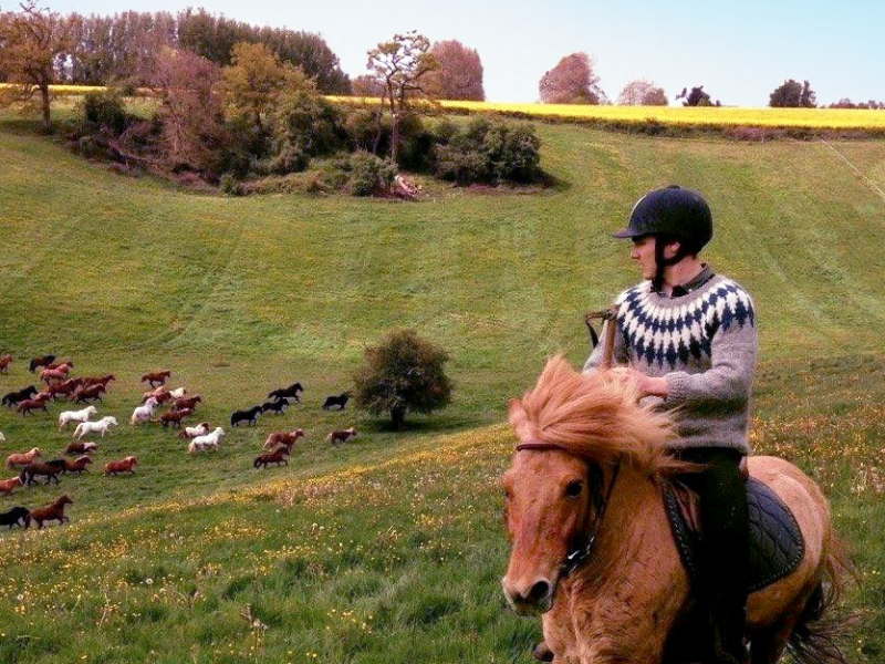 ferme-equestre-bois-guilbert-office-de-tourisme-normandie-caux-vexin-3.png