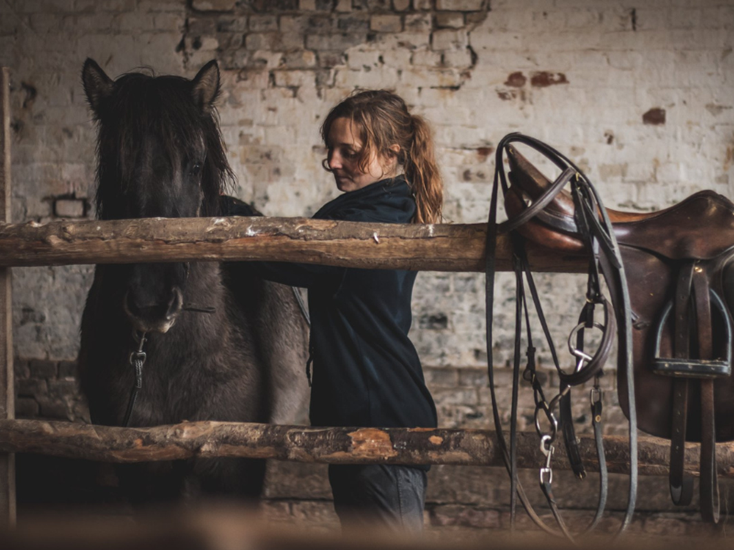 ferme-equestre-bois-guilbert-office-de-tourisme-normandie-caux-vexin-2-3.png